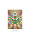 Single Poster 13 x 19 In. "Higher Vision" by Alex Grey