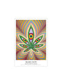 Single Poster 13 x 19 In. "Higher Vision" by Alex Grey